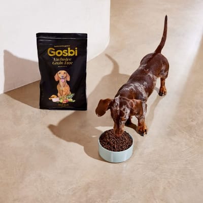 gosbi exclusive GF mini duck