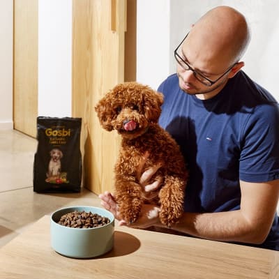 Gosbi exclusive GF puppy