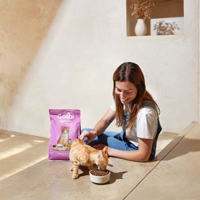 gosbi exclusive kitten pollo/pavo