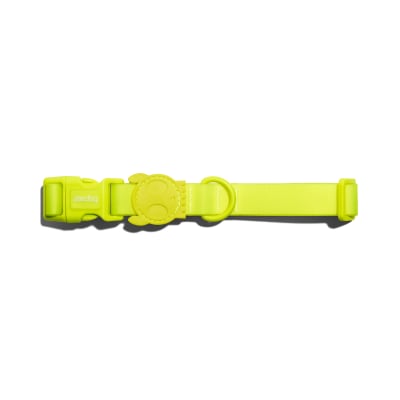 zeedog neopro lime collar