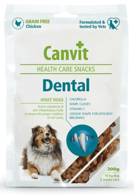 canvit dental
