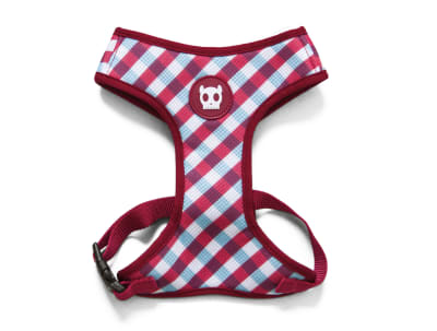 zeedog gummy arnes mesh