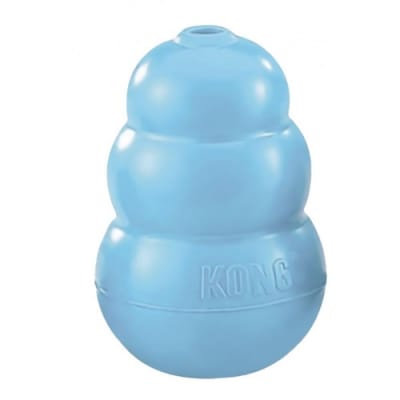 kong puppy