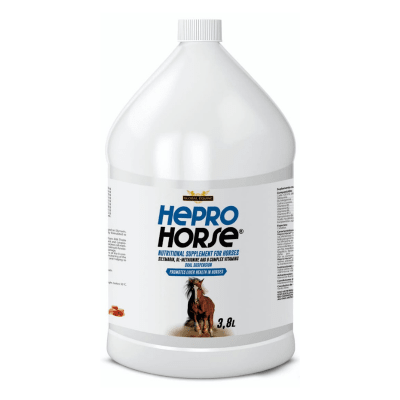 hepro horse