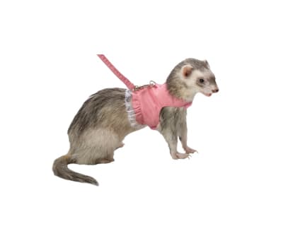 marshall arnes chaqueta corazones