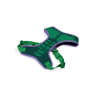 zeedog MARVEL hulk arnes mesh