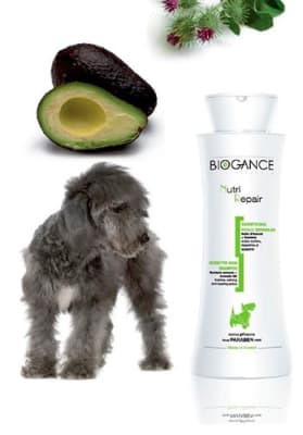 biogance shampoo nutri repair