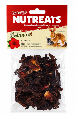 zood botanics hibiscus