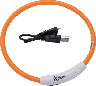 coastal collar USB light- up