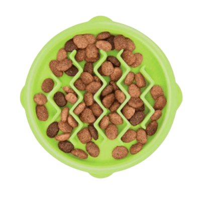 catstages comedero lento