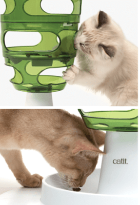 cat it laberinto de comida y premios