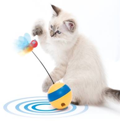 cat it play spinning bee