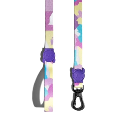 zeedog candy trailla