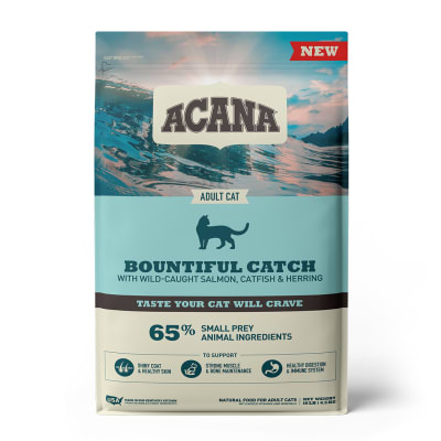 acana bountiful catch gato