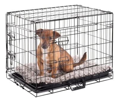jaula perros