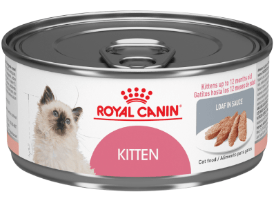 royal canin kitten lata