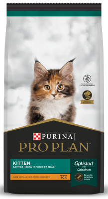 proplan kitten