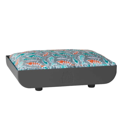 kitty kasas penthaus