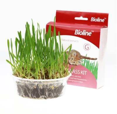 bioline kit catnip