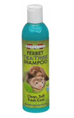 marshall shampoo tea tree