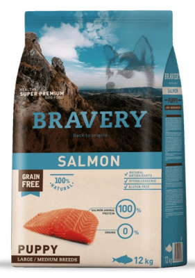 bravery salmon puppy lym breed