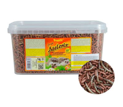 atelerix erizo