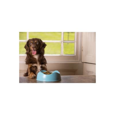 beco bowl azul L