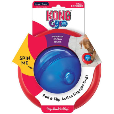 kong gyro