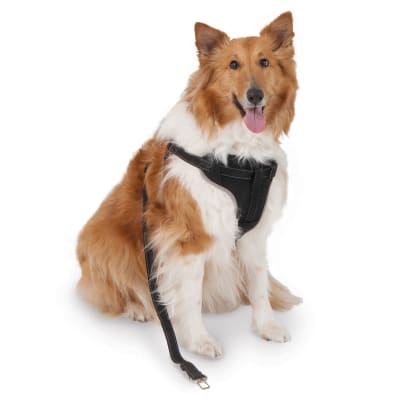 pet mate arnes auto 