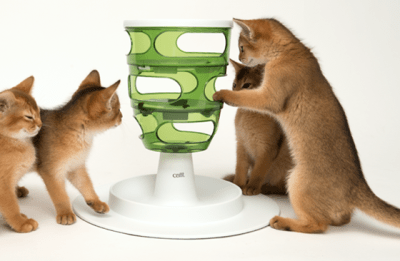 cat it laberinto de comida y premios