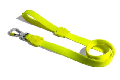 zeedog neopro lime trailla
