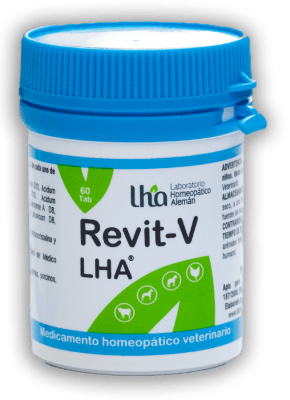 lha revit