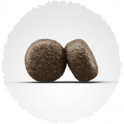 josera light & vital