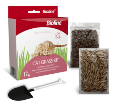 bioline kit catnip