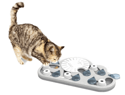 NINAO puzzle rainy day n3