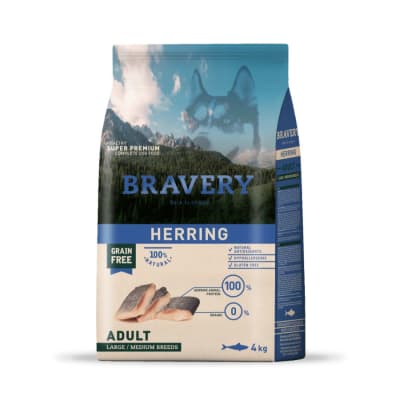 bravery herring adulto lym