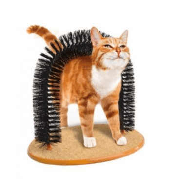 auto masajeador gato