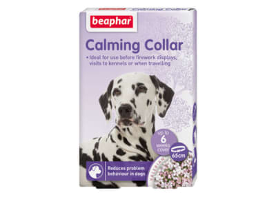 calming collar perro