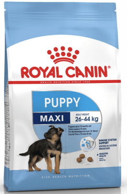royal canin maxi puppy