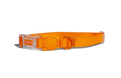 zeedog neopro naranjo collar
