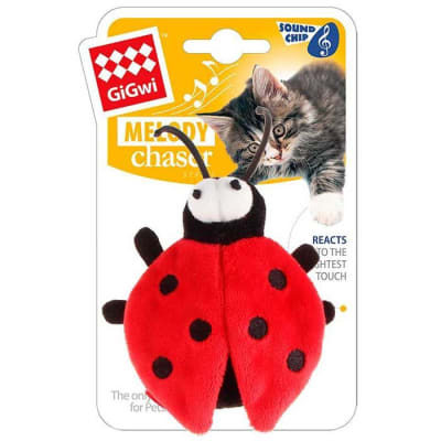 gigwi melody escarabajo