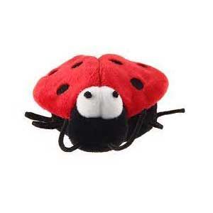 gigwi melody escarabajo