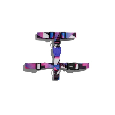 zeedog midnight arnes H