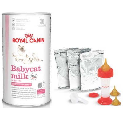royal canin kitten milk