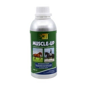 trm muscle up