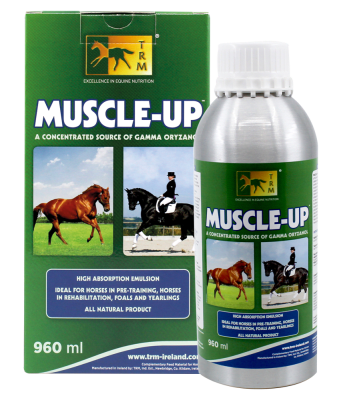 trm muscle up