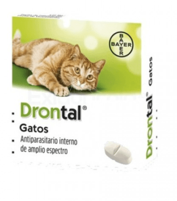 drontal cat