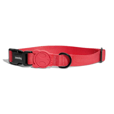 zeedog neon coral collar