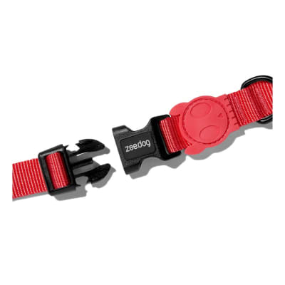 zeedog neon coral collar