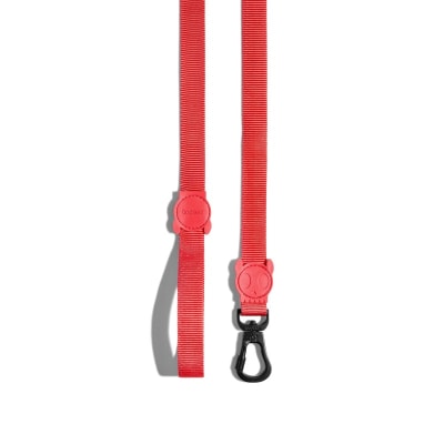 zeedog neon coral trailla